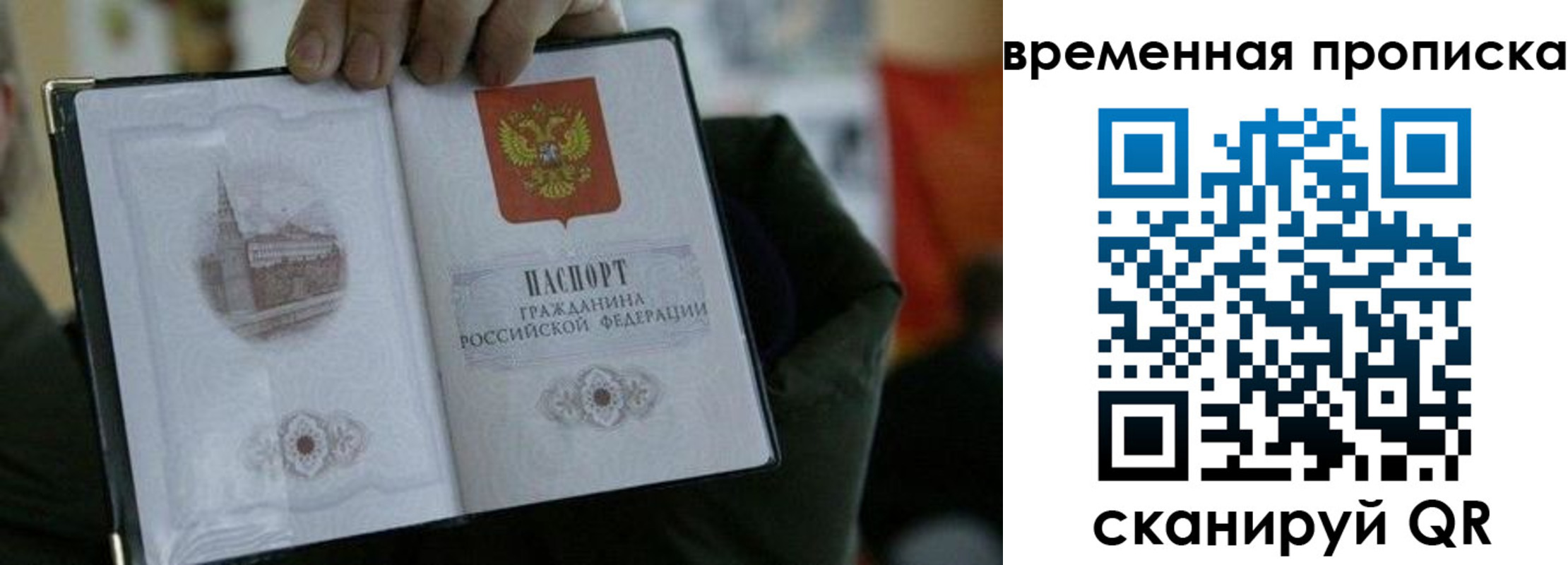 найти адрес прописки в Краснозаводске